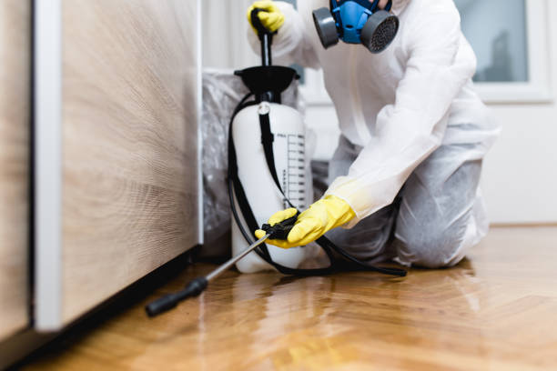 Best Emergency Pest Control  in Coralville, IA
