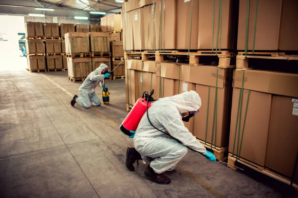 Best Bed Bug Extermination  in Coralville, IA
