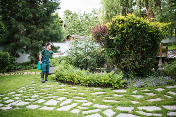 Best Pest Prevention Services  in Coralville, IA