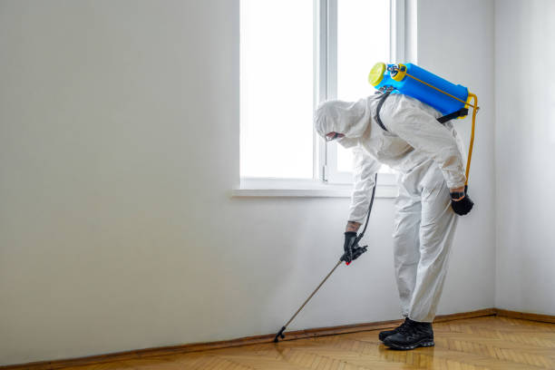 Best Termite Control Services  in Coralville, IA