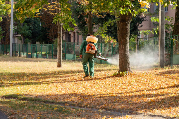 Best Flea Control Services  in Coralville, IA