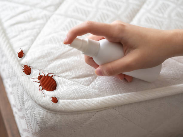 Best Affordable Exterminators  in Coralville, IA