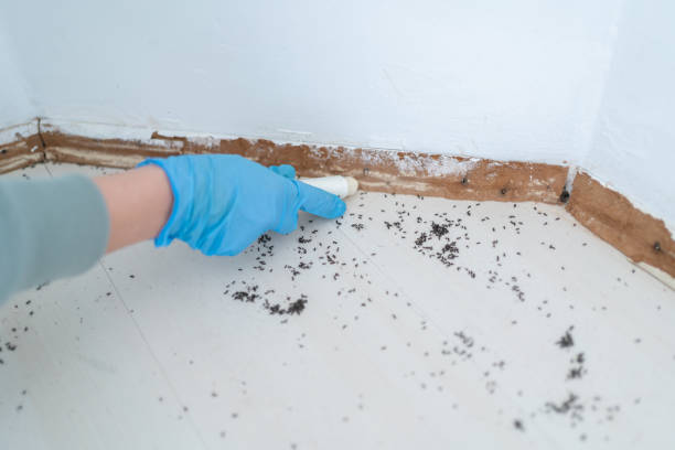 Coralville, IA Pest Control Company