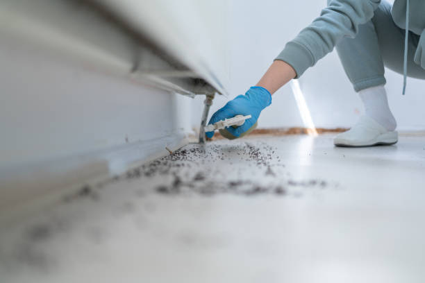 Best Residential Pest Control  in Coralville, IA