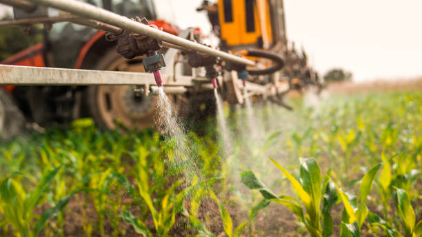 Best Local Pest Control Services  in Coralville, IA