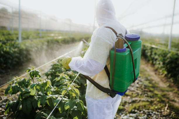 Best Pest Control for Businesses  in Coralville, IA